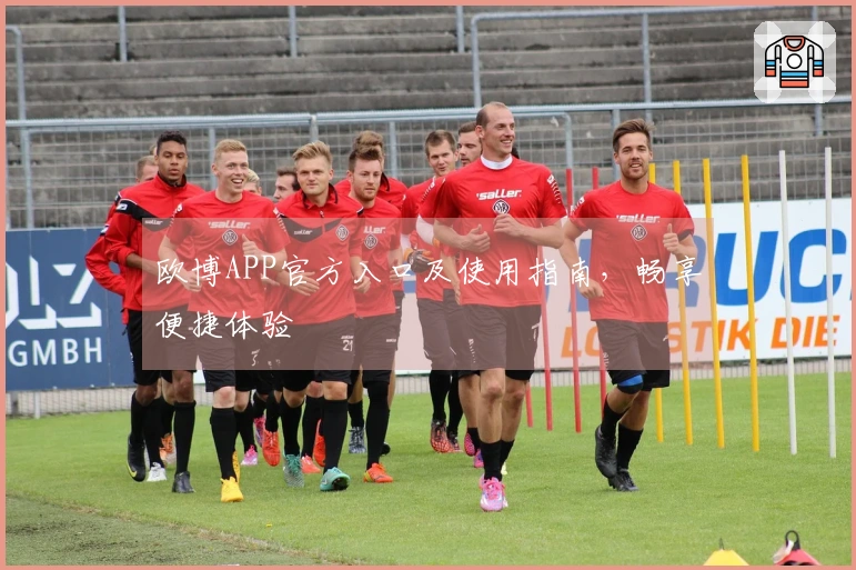 欧博APP官方入口及使用指南，畅享便捷体验