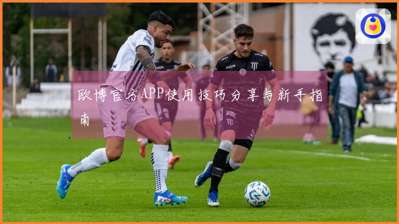 欧博官方APP使用技巧分享与新手指南