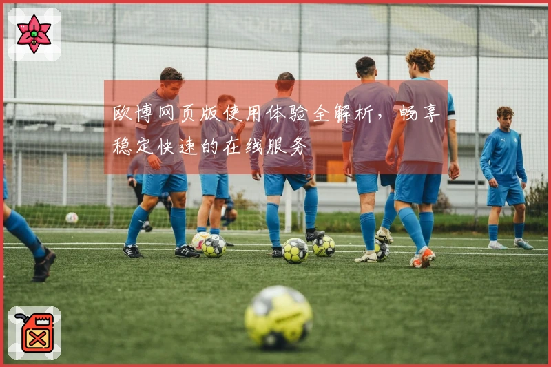 欧博网页版使用体验全解析，畅享稳定快速的在线服务