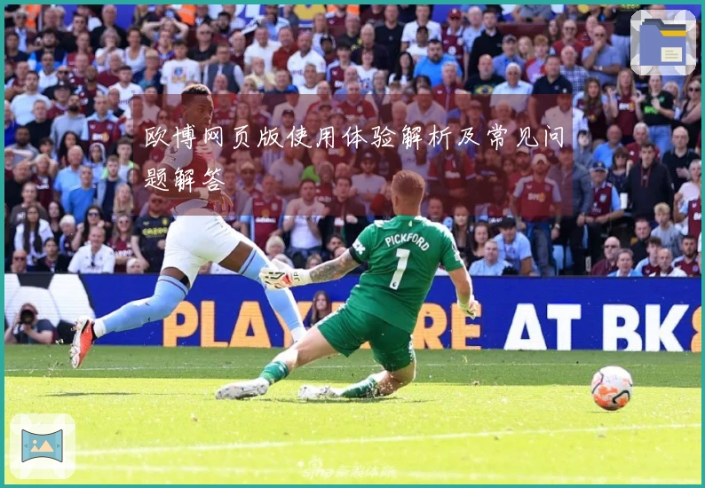 欧博网页版使用体验解析及常见问题解答